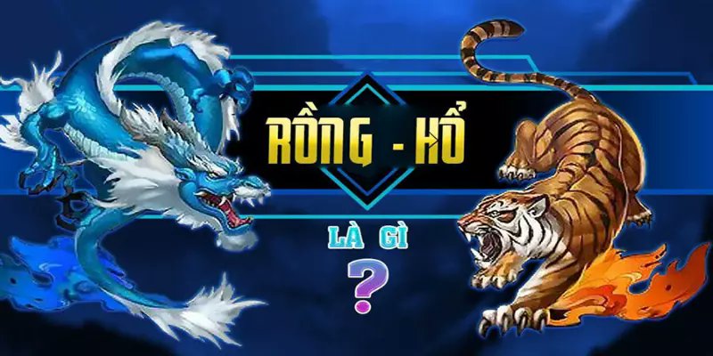 rồng hổ New88