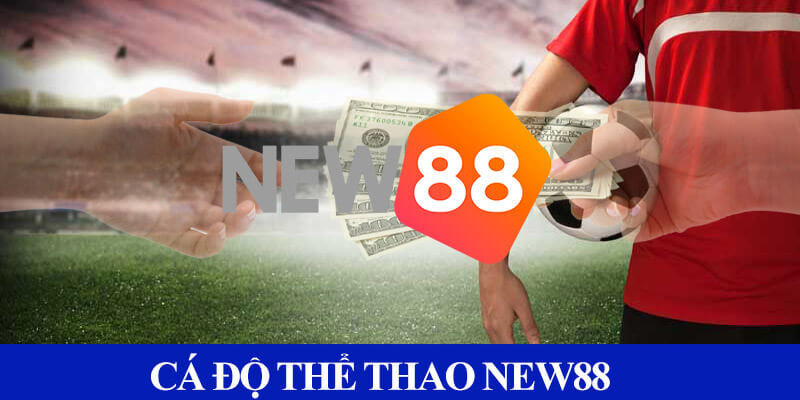 thể thao New88